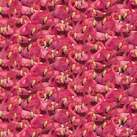 ttNATURE-CD4558 FUCHSIA